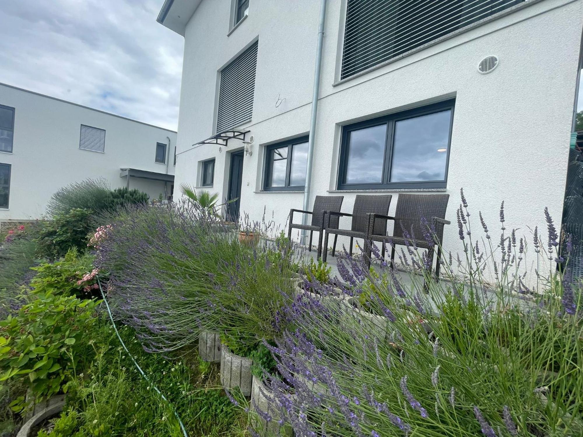 Apartamento Vogesenblick Bad Bellingen Exterior foto