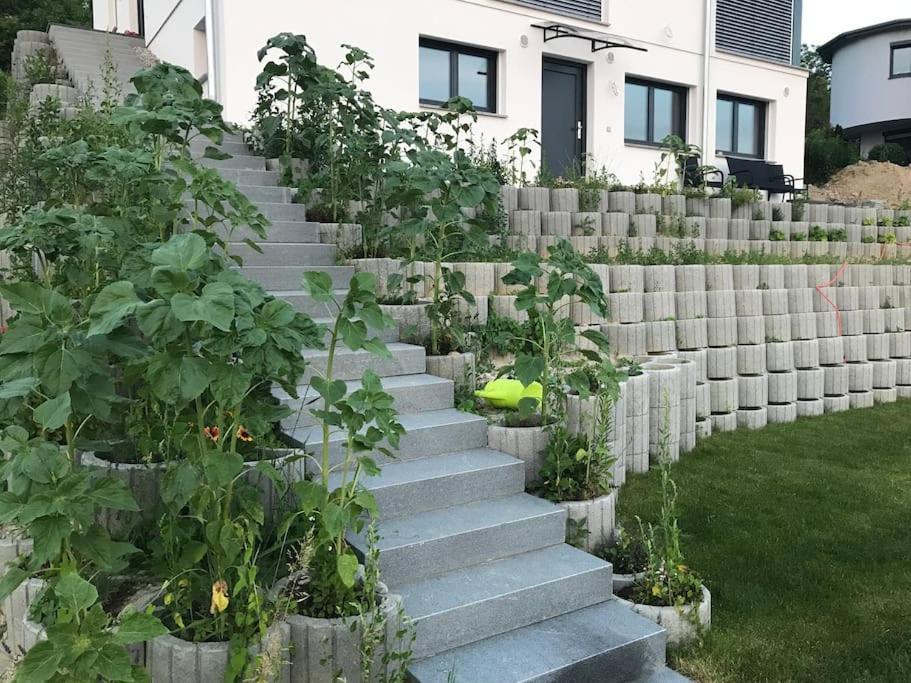 Apartamento Vogesenblick Bad Bellingen Exterior foto